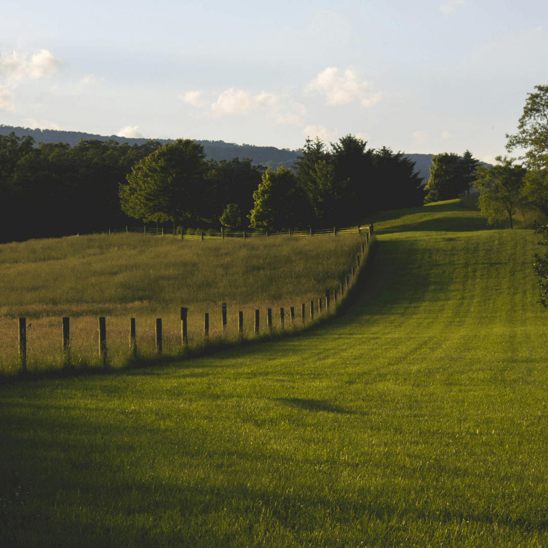 Real estate coaching cost comparison for top-producing agents and team leaders.